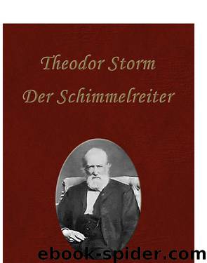 Der Schimmelreiter by Theodor Storm