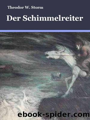 Der Schimmelreiter by Theodor W. Storm