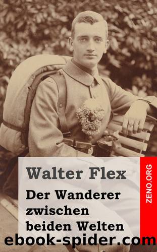 Der Wanderer zwischen beiden Welten by Walter Flex