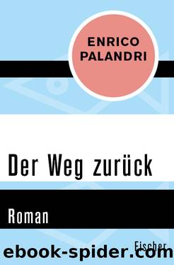 Der Weg zurÃ¼ck. Roman by Enrico Palandri