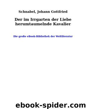 Der im Irrgarten der Liebe herumtaumelnde Kavalier by Schnabel Johann Gottfried