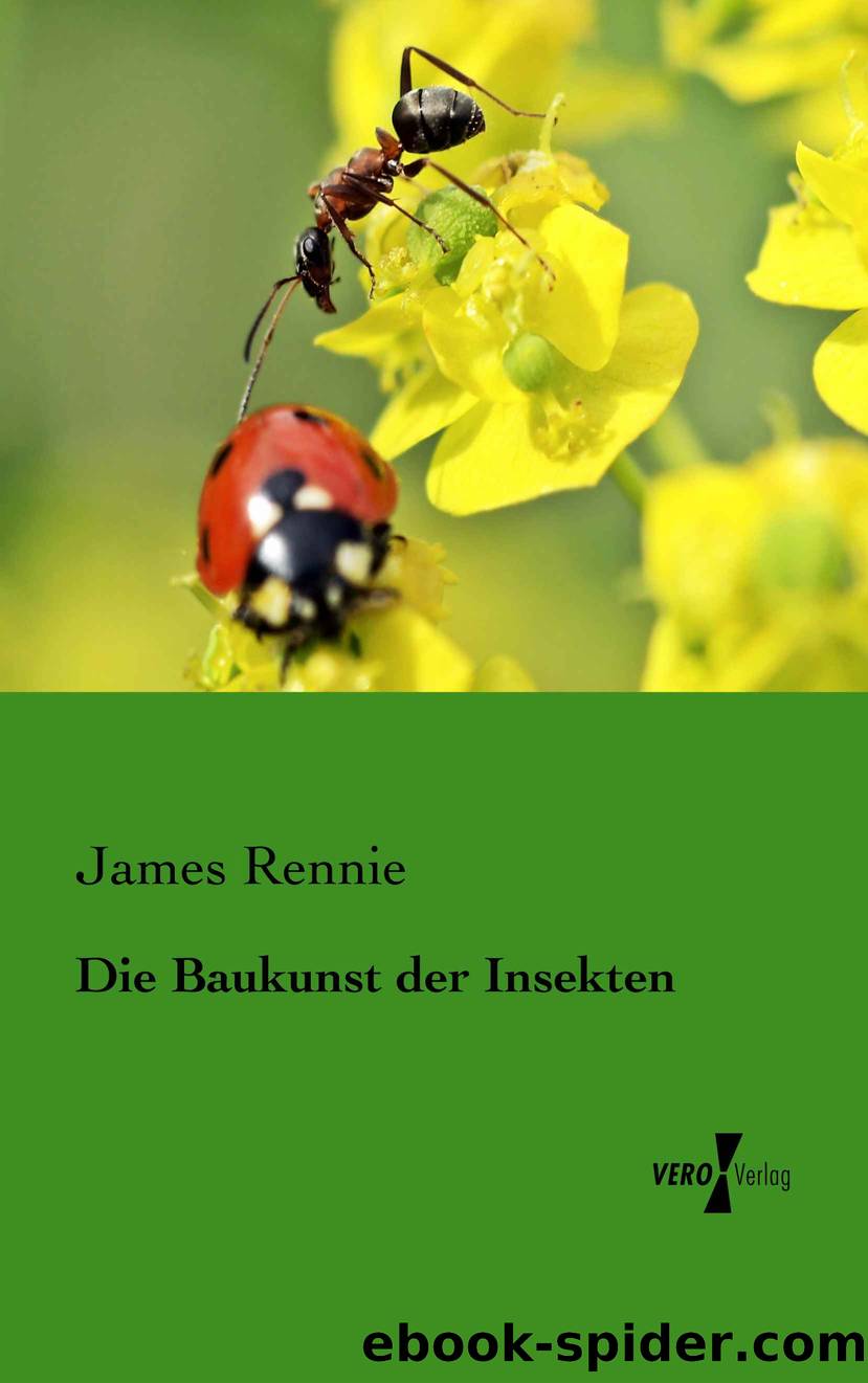 Die Baukunst der Insekten (German Edition) by Rennie James