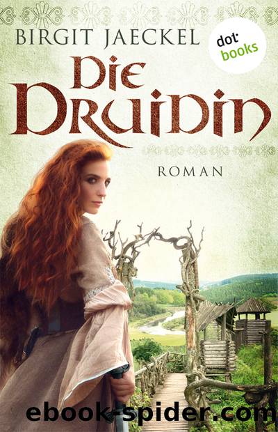 Die Druidin by Birgit Jaeckel