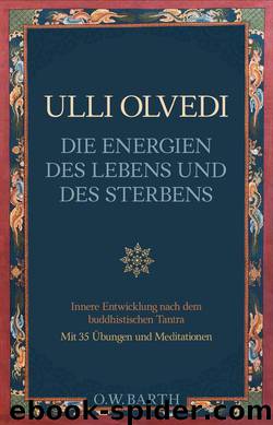 Die Energien des Lebens und des Sterbens by Olvedi Ulli