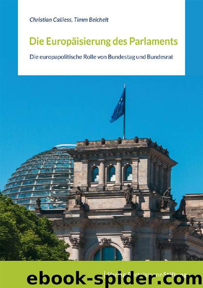 Die Europäisierung des Parlaments by Christian Calliess und Timm Beichelt
