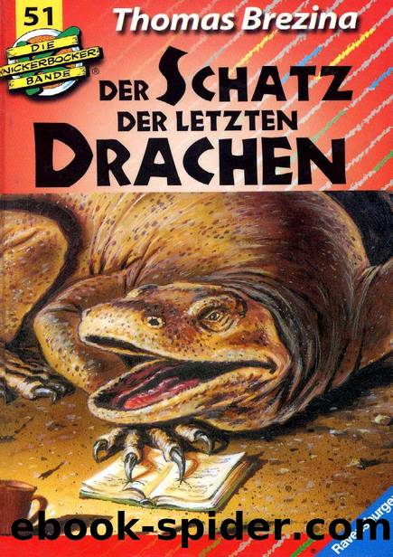 Die Knickerbocker Bande - 51 - Der Schatz der letzten Drachen by Thomas Brezina