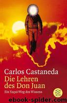 Die Lehren des Don Juan. Ein Yaqui-Weg des Wissens by Carlos Castaneda