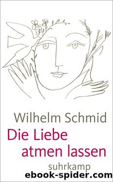 Die Liebe neu erfinden by Schmid Wilhelm