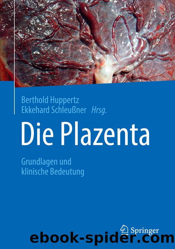Die Plazenta by Berthold Huppertz & Ekkehard Schleußner