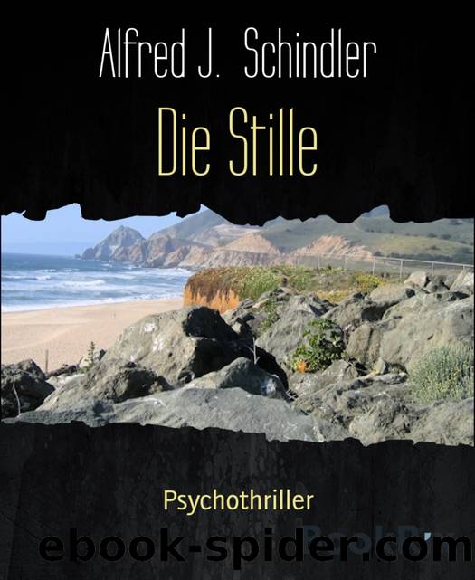 Die Stille by Alfred J. Schindler