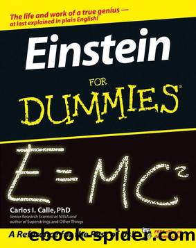 Einstein For Dummies by Calle Carlos I
