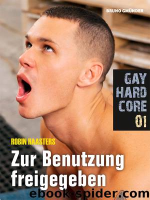 Gay Hardcore 01: Zur Benutzung freigegeben by Robin Haasters