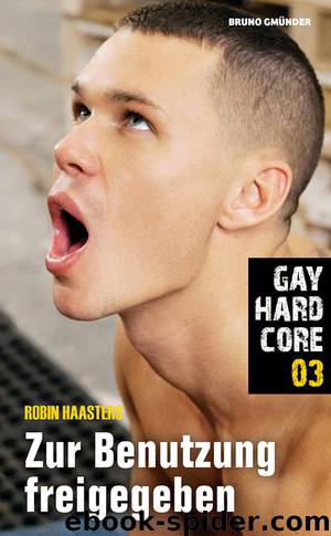 Gay Hardcore 03: Zur Benutzung freigegeben by Robin Haasters