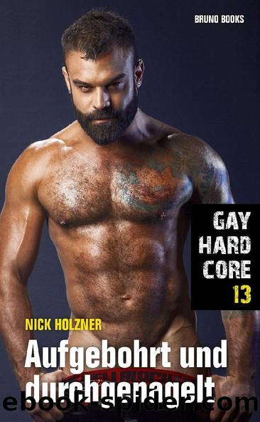Gay Hardcore 13: Aufgebohrt und durchgenagelt by Nick Holzner