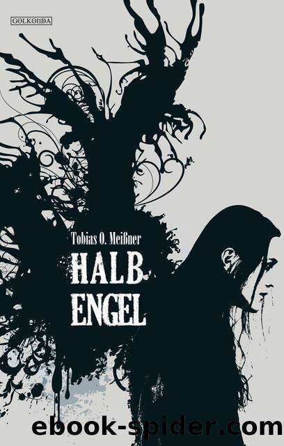 HalbEngel by Tobias O. Meißner