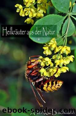 Heilkräuter aus der Natur by Bruchmann Kai