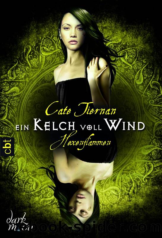 Hexenflammen Bd. 1 - Ein Kelch voll Wind by Cate Tiernan