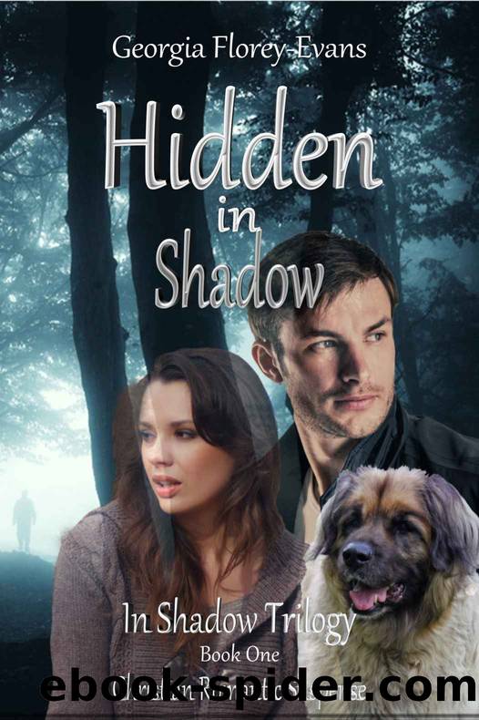 Hidden in Shadow by Georgia Florey-Evans