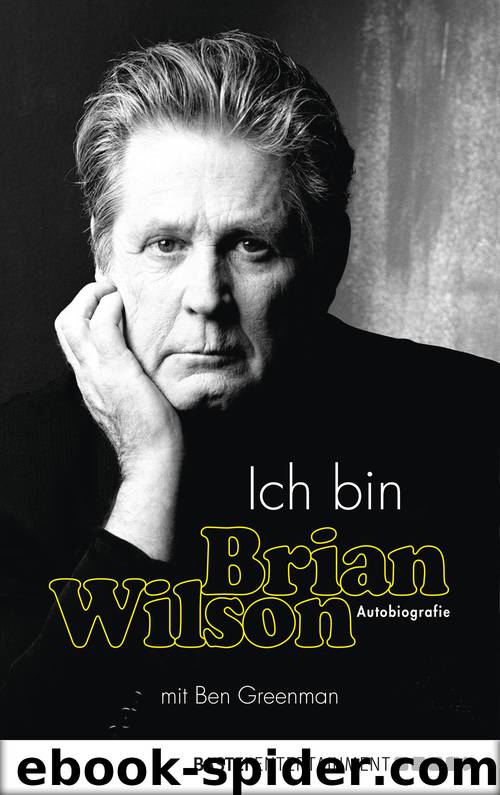 Ich bin Brian Wilson by Brian Wilson