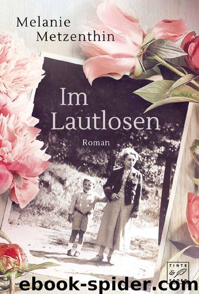 Im Lautlosen (German Edition) by Melanie Metzenthin