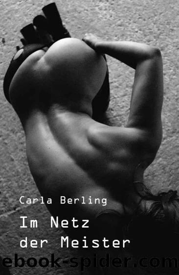 Im Netz der Meister (German Edition) by Berling Carla