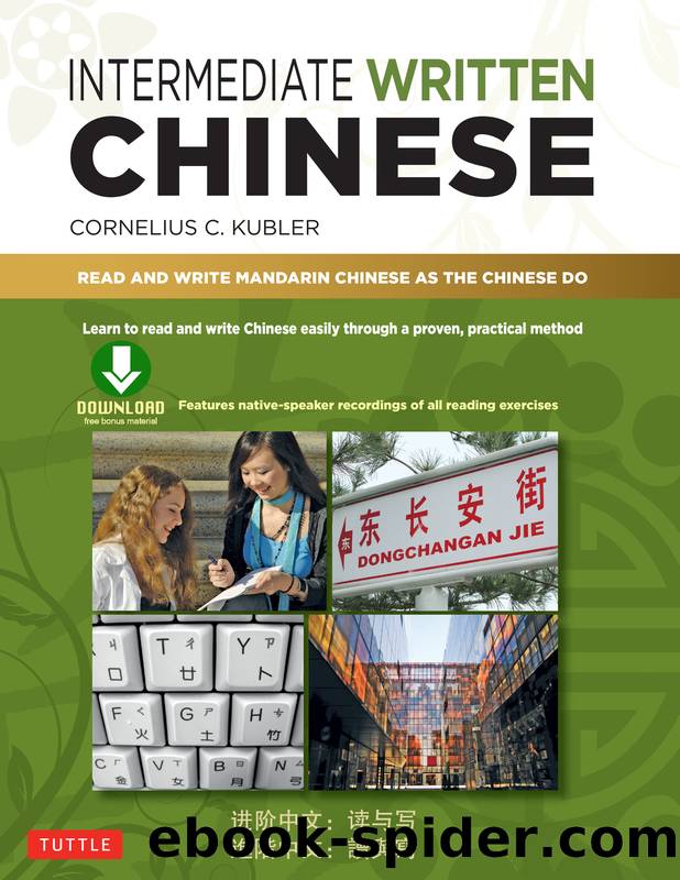Intermediate Written Chinese by Cornelius C. Kubler