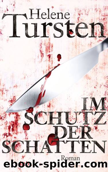 Irene Huss Bd. 10 - Im Schutz der Schatten by Helene Tursten