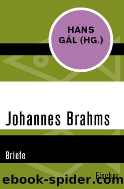 Johannes Brahms. Briefe by Johannes Brahms Hans Gál