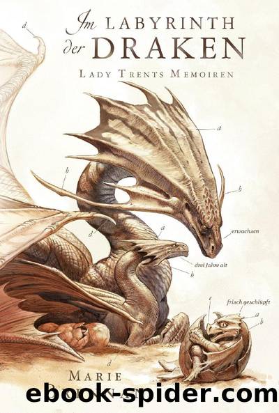 Lady Trents Memoiren 4 - Im Labyrinth der Draken by Marie Brennan