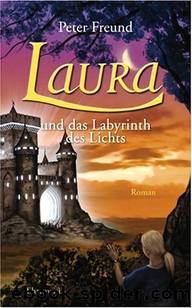 Laura und das Labyrinth des Lichts by Peter Freund
