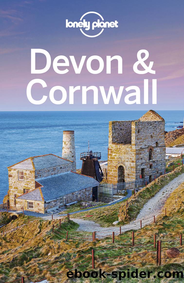 Lonely Planet Devon & Cornwall by Lonely Planet