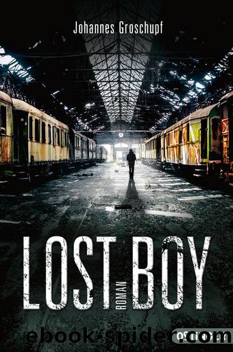Lost Boy by Johannes Groschupf