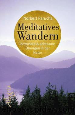 Meditatives Wandern: Bewusste und achtsame Übungen in der Natur (German Edition) by Parucha Norbert