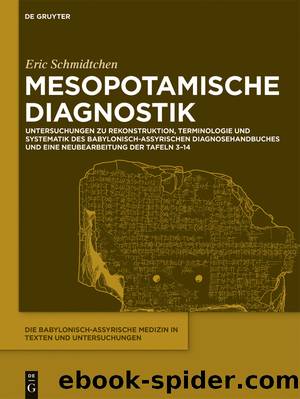 Mesopotamische Diagnostik by Eric Schmidtchen