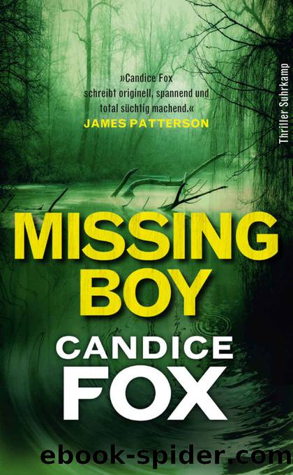 Missing Boy by Candice Fox