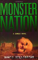 Monster Nation by Wellington David