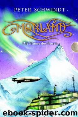 Morland 2: Die Blume des Bösen by Peter Schwindt