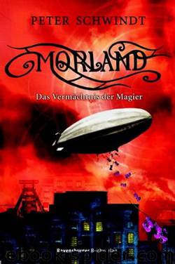 Morland 3: Das Vermächtnis der Magier by Peter Schwindt