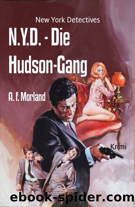 N.Y.D.--Die Hudson-Gang by A. F. Morland