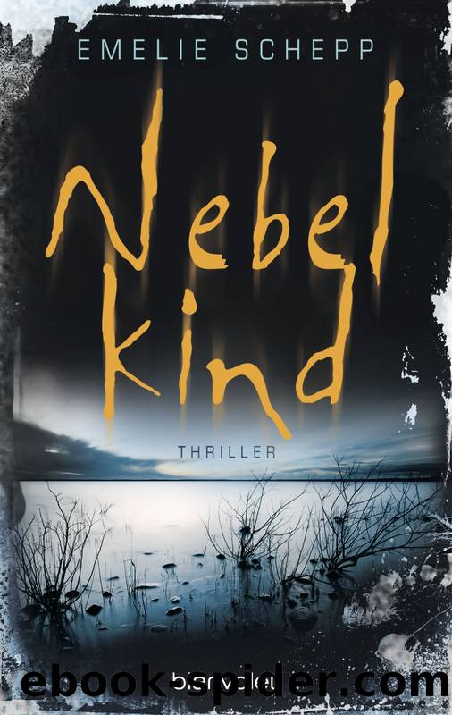 Nebelkind by Schepp Emelie