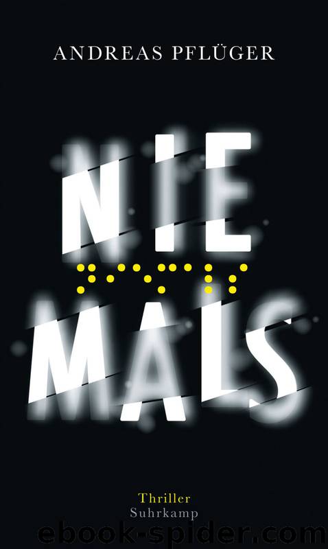 Niemals (Band 2) by Pflüger Andreas