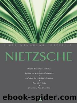 Nietzsche by Ah­met İnam