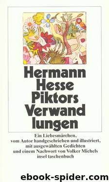 Piktors Verwandlungen by Hesse Hermann