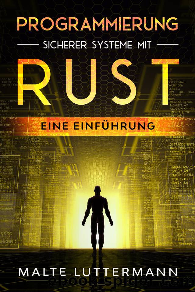 Programmierung sicherer Systeme mit Rust: Eine Einführung (German Edition) by Luttermann Malte