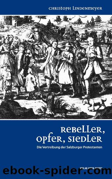 Rebeller, Opfer, Siedler by Christoph Lindenmeyer