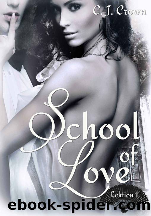 School of Love: Lektion 1 (German Edition) by Hannah Siebern