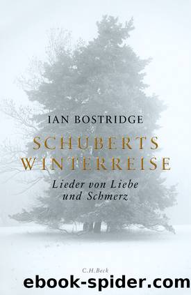 Schuberts Winterreise by Bostridge Ian;Zettel Annabel;