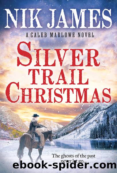 Silver Trail Christmas by Nik James