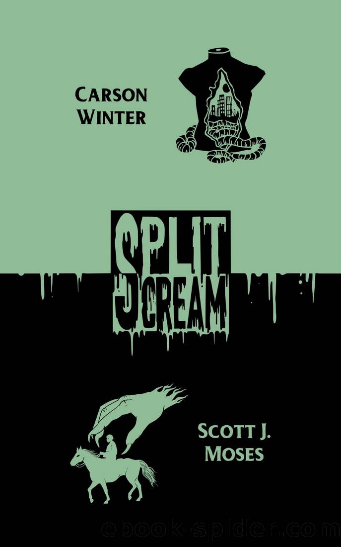 Split Scream Volume One by Carson Winter