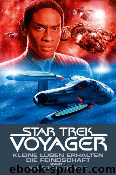 Star Trek Voyager 12: Kleine Lügen Erhalten die Feindschaft by Kirsten Beyer